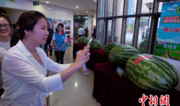 吃瓜最新事件爆料无锡新闻,吃瓜群众热议最新事件爆料揭秘